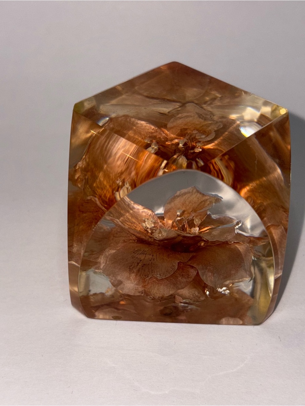 Geometric Paper Weight Dried Sasanqua Flower Vintage Lucite Cut Cube 2.25”x2”